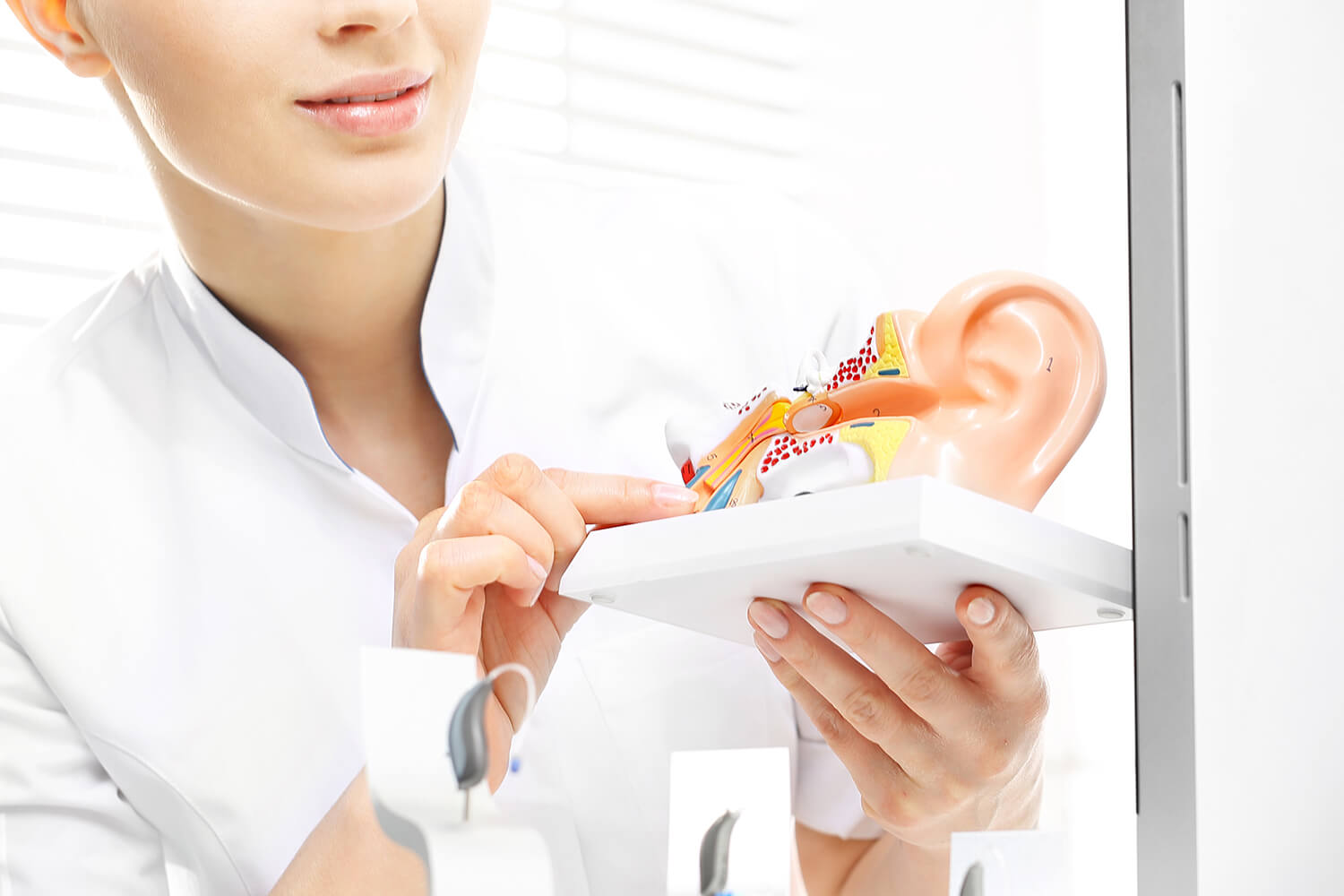 Model of inner ear for hearing test